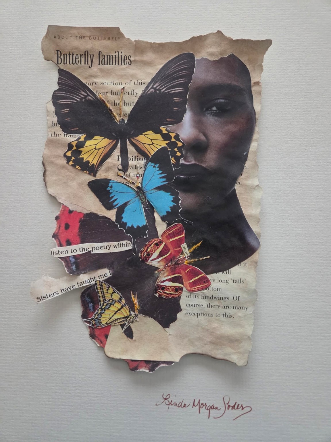 Detail of portrait and butterfly collage